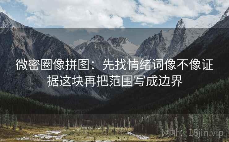 微密圈像拼图:先找情绪词像不像证据这块再把范围写成边界 第2张 微密圈像拼图:先找情绪词像不像证据这块再把范围写成边界 第2张